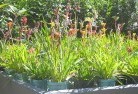 Karabarplant-nursery-17.jpg; ?>