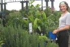 Karabarplant-nursery-5.jpg; ?>
