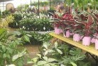 Karabarplant-nursery-7.jpg; ?>
